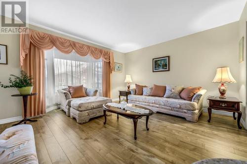 81 Carrick Drive, St. John'S, NL - Indoor Photo Showing Living Room