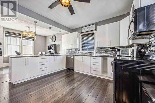 344 Maxwell Street, Sarnia, ON - Indoor Photo Showing Kitchen With Upgraded Kitchen