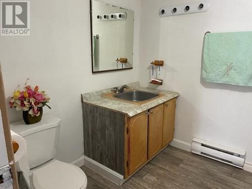 385 Oceanview Drive, Marches Point, NL - Indoor Photo Showing Bathroom