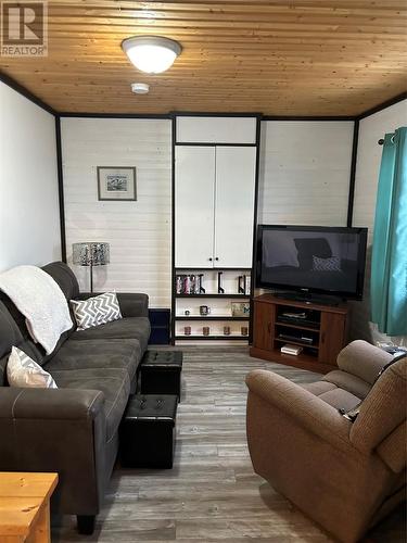 10 Boot Brook Road, Howley, NL - Indoor Photo Showing Living Room