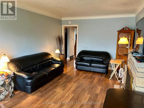 40 Battle Street, Thorold (557 - Thorold Downtown), ON - Indoor Photo Showing Living Room