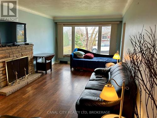 40 Battle Street, Thorold (557 - Thorold Downtown), ON - Indoor Photo Showing Living Room With Fireplace