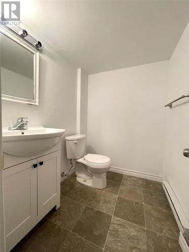 18 Bachman Place, Gander, NL - Indoor Photo Showing Bathroom