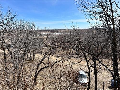 68 Elm Drive, Killarney, MB - Outdoor With View