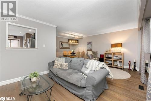 4 Lynden Circle, Georgetown, ON - Indoor Photo Showing Living Room