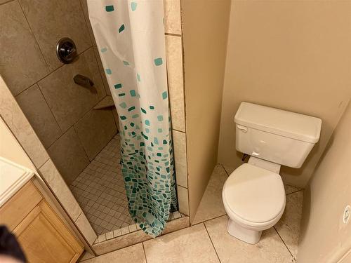 428 Fifth Avenue, Thunder Bay, ON - Indoor Photo Showing Bathroom