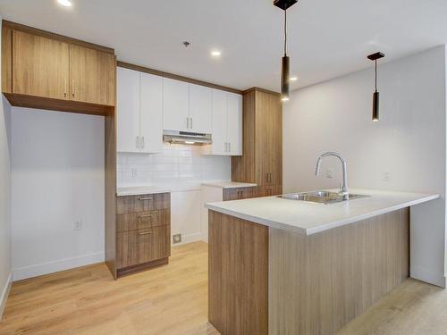 Cuisine - 101-50 Rue St-Louis, Salaberry-De-Valleyfield, QC - Indoor Photo Showing Kitchen