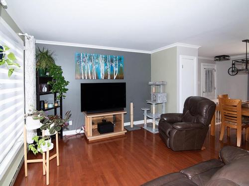 Living room - 20 Rue De La Bastille, Rivière-Du-Loup, QC - Indoor Photo Showing Living Room