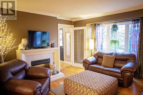 3 Brock Crescent, Gander, NL - Indoor Photo Showing Living Room With Fireplace