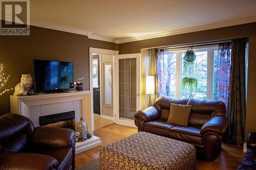 3 Brock Crescent, Gander, NL - Indoor Photo Showing Living Room With Fireplace