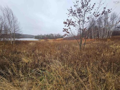 0 Lot Hidden Cove Drive, Pictou Landing, NS 