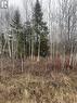 Lot 4 Old Wanup Road, Sudbury, ON 