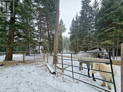 4975 Plateau Road, 108 Mile Ranch, BC - Outdoor