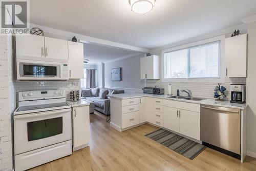 642 Albert St W, Sault Ste Marie, ON - Indoor Photo Showing Kitchen With Double Sink