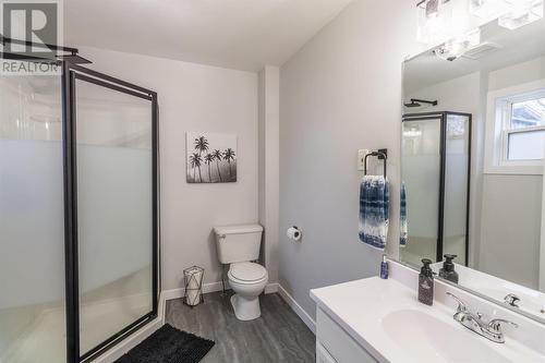 642 Albert St W, Sault Ste Marie, ON - Indoor Photo Showing Bathroom