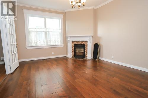 210 Hamilton Avenue, St. John'S, NL - Indoor Photo Showing Living Room With Fireplace