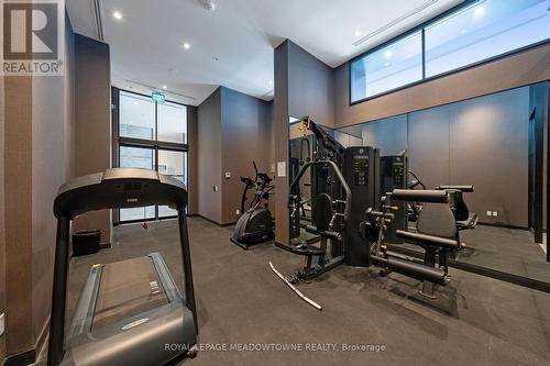 308 - 3005 Pine Glen Road, Oakville, ON - Indoor Photo Showing Gym Room