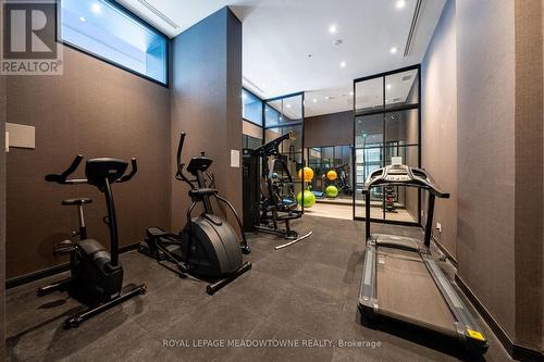 308 - 3005 Pine Glen Road, Oakville, ON - Indoor Photo Showing Gym Room