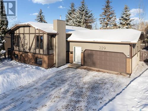 229 Badger Court, Saskatoon, SK - Outdoor