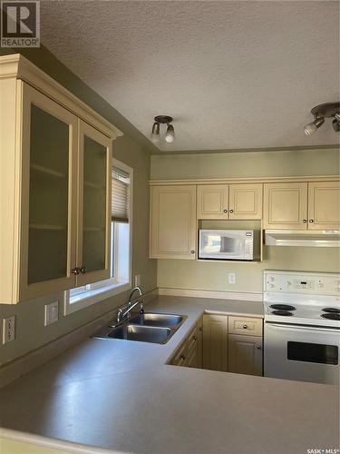 302 2217 Angus Street, Regina, SK - Indoor Photo Showing Kitchen With Double Sink