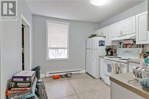 248 Murray Street, Sudbury, ON - Indoor Photo Showing Kitchen