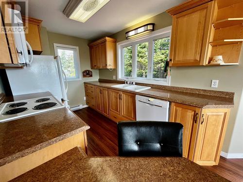 1 Ship Cove Road, Port Rexton, NL - Indoor Photo Showing Kitchen With Double Sink