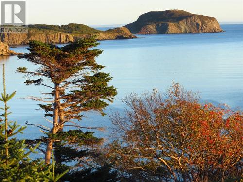 1 Ship Cove Road, Port Rexton, NL - Outdoor With Body Of Water With View