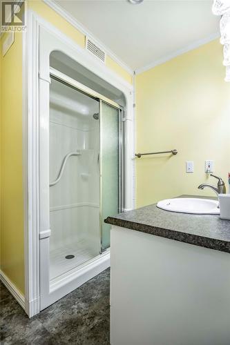 7 Souther Path, Conception Harbour, NL - Indoor Photo Showing Bathroom