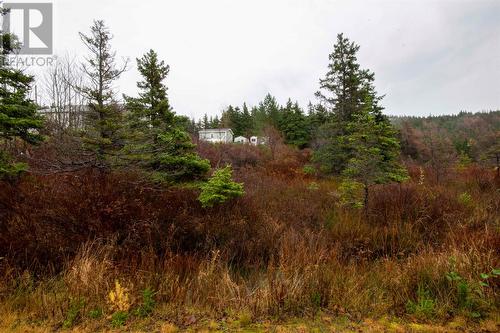 7 Souther Path, Conception Harbour, NL - Outdoor With View