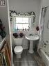 103 Welland Avenue, St. Catharines (451 - Downtown), ON  - Indoor Photo Showing Bathroom 