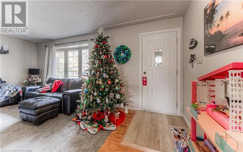 67 Rennie Drive, Kitchener, ON - Indoor Photo Showing Living Room