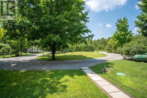 2365 Selwyn Bay Lane, Smith-Ennismore-Lakefield, ON - Outdoor