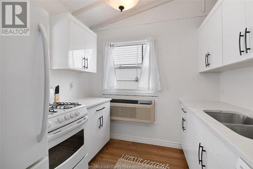 206 Robson Road, Leamington, ON - Indoor Photo Showing Kitchen With Double Sink