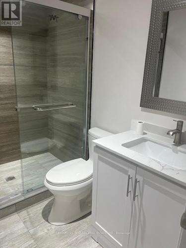 (Lower) - 91 Antibes Drive, Brampton, ON - Indoor Photo Showing Bathroom