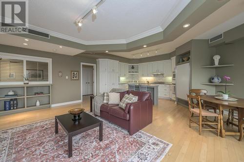 502 - 250 Sydenham Street, London, ON - Indoor Photo Showing Living Room