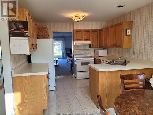 9770 Menard, Windsor, ON - Indoor Photo Showing Kitchen With Double Sink