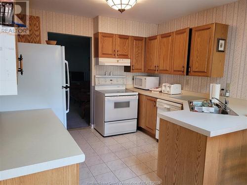 9770 Menard, Windsor, ON - Indoor Photo Showing Kitchen With Double Sink