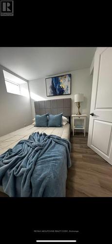 Lower - 66 Wellington Street S, Hamilton, ON - Indoor Photo Showing Bedroom