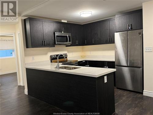 1489 Banwell Road Unit# 326, Windsor, ON - Indoor Photo Showing Kitchen With Stainless Steel Kitchen With Double Sink