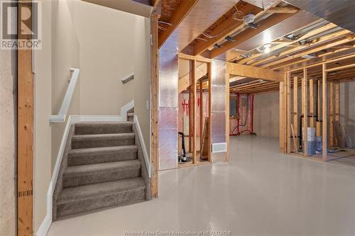 2212 Gatwick, Windsor, ON - Indoor Photo Showing Basement