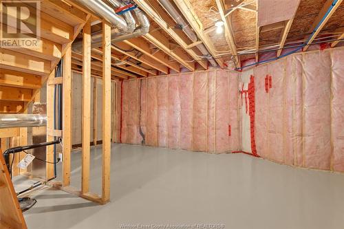 2212 Gatwick, Windsor, ON - Indoor Photo Showing Basement