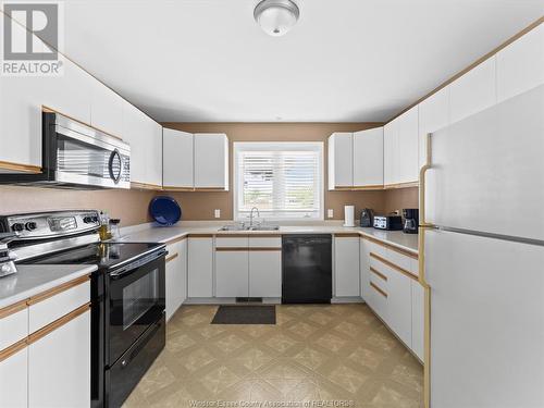 814 Watson Avenue, Windsor, ON - Indoor Photo Showing Kitchen With Double Sink