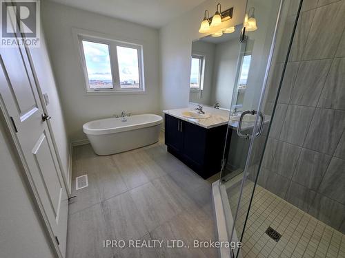 111 Picardy Drive, Hamilton, ON - Indoor Photo Showing Bathroom