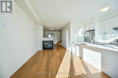 111 Picardy Drive, Hamilton, ON - Indoor Photo Showing Kitchen With Fireplace With Double Sink