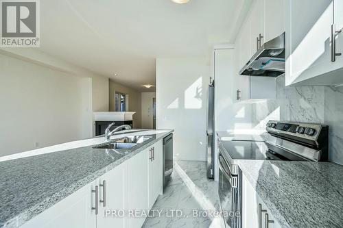 111 Picardy Drive, Hamilton, ON - Indoor Photo Showing Kitchen With Double Sink With Upgraded Kitchen