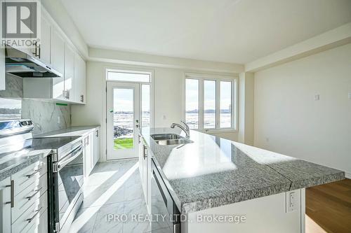 111 Picardy Drive, Hamilton, ON - Indoor Photo Showing Kitchen With Double Sink