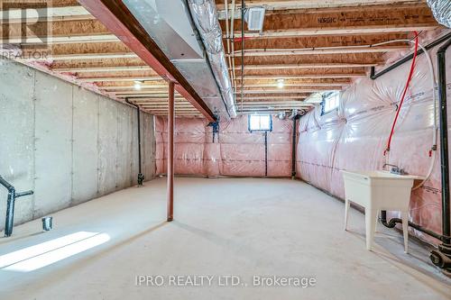 111 Picardy Drive, Hamilton, ON - Indoor Photo Showing Basement