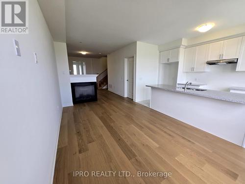 111 Picardy Drive, Hamilton, ON - Indoor Photo Showing Kitchen With Fireplace With Double Sink