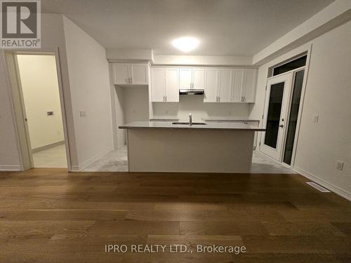 111 Picardy Drive, Hamilton, ON - Indoor Photo Showing Kitchen