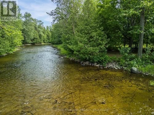 40 Concession Street S, Stone Mills, ON - Outdoor With Body Of Water